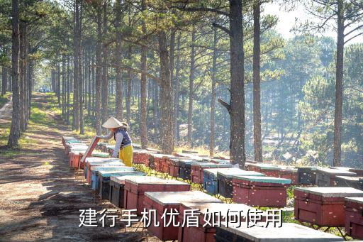 建行手機(jī)優(yōu)盾如何使用