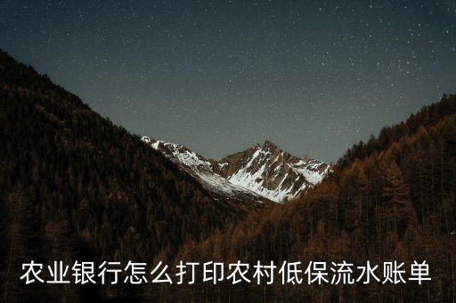 農行流水怎么打，農業(yè)銀行電核流水怎么走程序