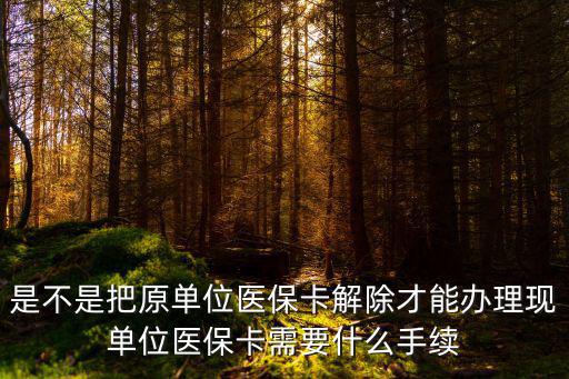 是不是把原單位醫(yī)?？ń獬拍苻k理現(xiàn)單位醫(yī)?？ㄐ枰裁词掷m(xù)