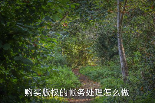 版權(quán)交易金怎么做賬，購(gòu)買版權(quán)的帳務(wù)處理怎么做