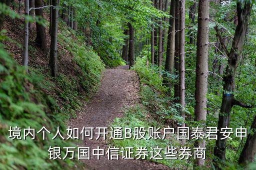 境內(nèi)個(gè)人如何開通B股賬戶國(guó)泰君安申銀萬(wàn)國(guó)中信證券這些券商