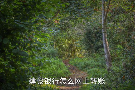 建行u盾網(wǎng)上怎么轉(zhuǎn)賬，建行網(wǎng)銀怎樣交易啊U盾的