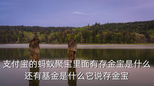 支付寶的螞蟻聚寶里面有存金寶是什么還有基金是什么它說(shuō)存金寶