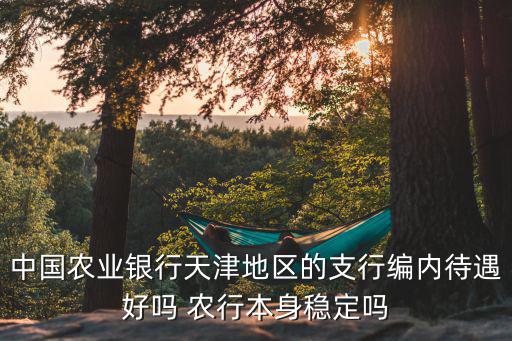 中國(guó)農(nóng)業(yè)銀行天津地區(qū)的支行編內(nèi)待遇好嗎 農(nóng)行本身穩(wěn)定嗎