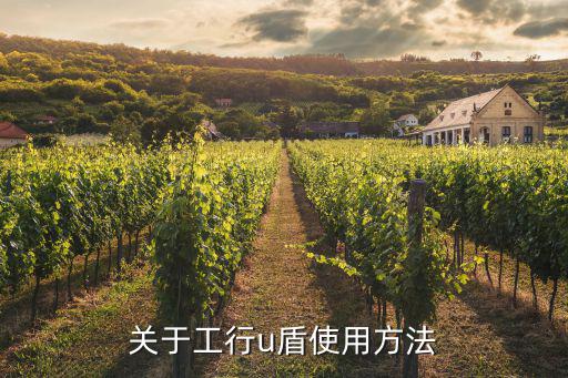 工行u盾怎么用圖解，手機(jī)工商銀行u盾怎么用啊