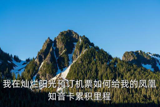 我在燦爛陽(yáng)光預(yù)訂機(jī)票如何給我的鳳凰知音卡累積里程