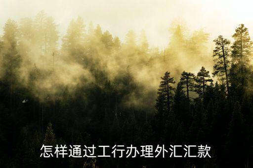 怎樣通過工行辦理外匯匯款