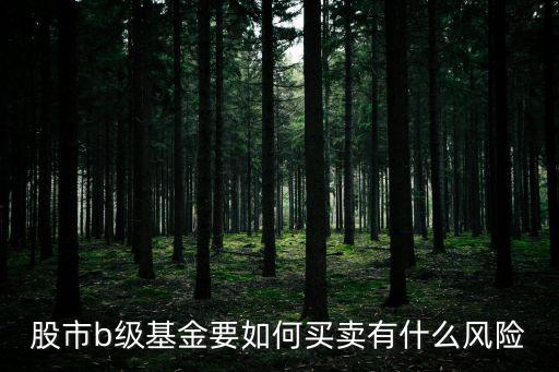 b股怎么交易，B股用什么買