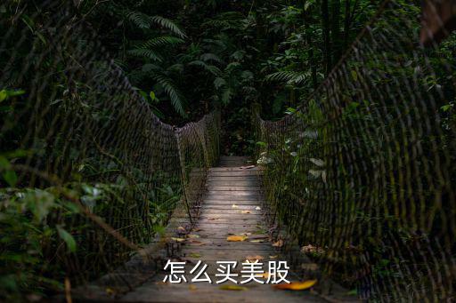 怎么買(mǎi)美股