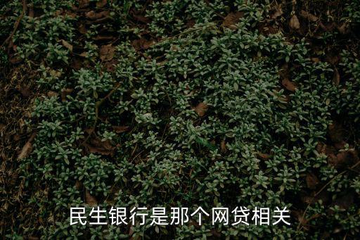 民生銀行是那個網(wǎng)貸相關(guān)
