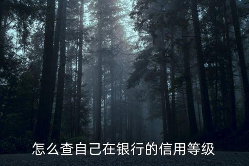 怎么查自己在銀行的信用等級