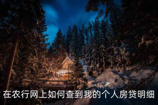 在農(nóng)行網(wǎng)上如何查到我的個(gè)人房貸明細(xì)