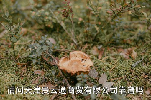 云通信息怎么樣，請問天津貴云通商貿(mào)有限公司靠譜嗎