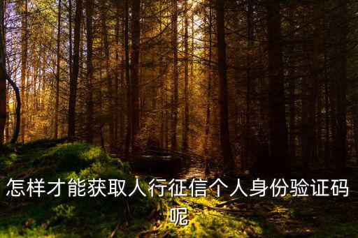 怎樣才能獲取人行征信個(gè)人身份驗(yàn)證碼呢