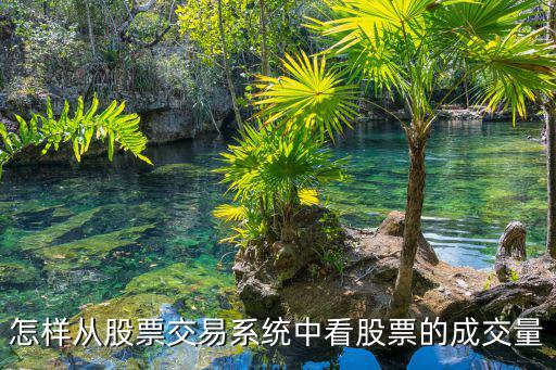 怎樣從股票交易系統(tǒng)中看股票的成交量