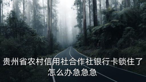 貴州省農(nóng)村信用社合作社銀行卡鎖住了怎么辦急急急