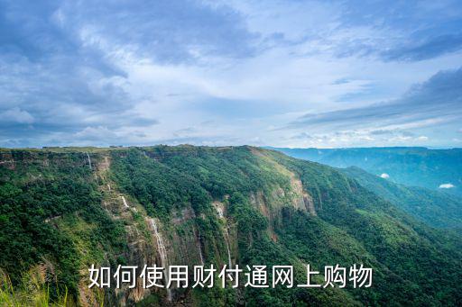 如何使用財付通網(wǎng)上購物