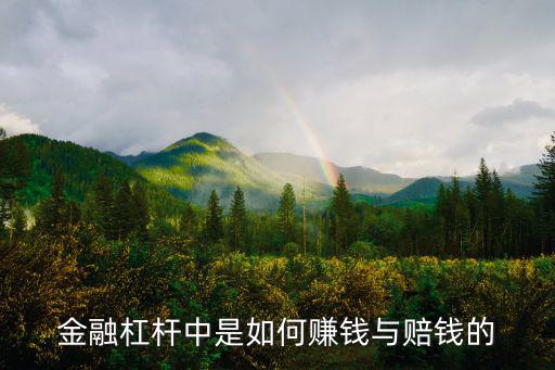 金融杠桿中是如何賺錢與賠錢的