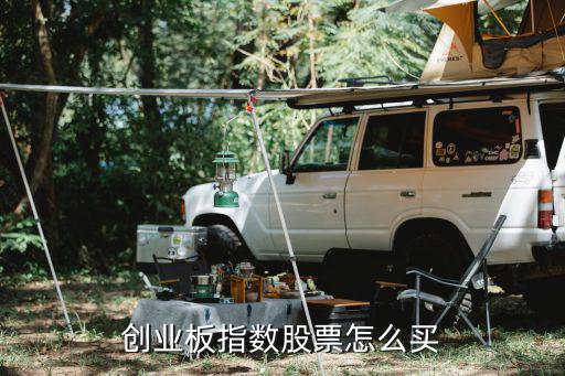 創(chuàng)業(yè)板指數(shù)股票怎么買