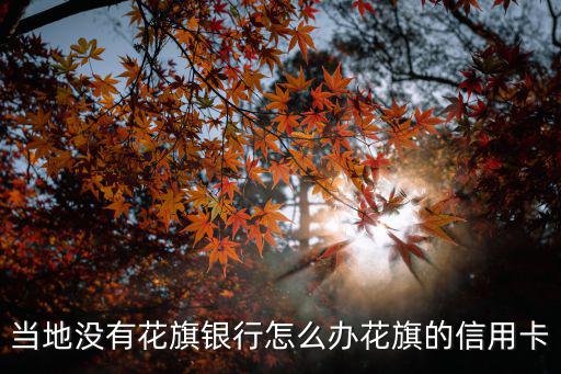 當(dāng)?shù)貨]有花旗銀行怎么辦花旗的信用卡