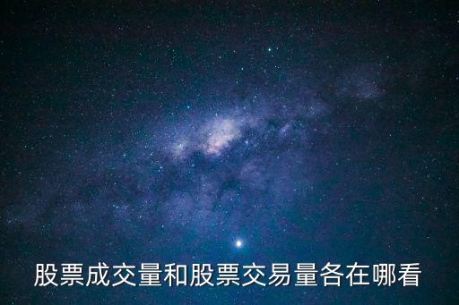 股票成交量和股票交易量各在哪看
