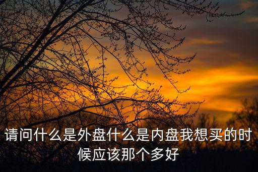 請(qǐng)問(wèn)什么是外盤(pán)什么是內(nèi)盤(pán)我想買(mǎi)的時(shí)候應(yīng)該那個(gè)多好