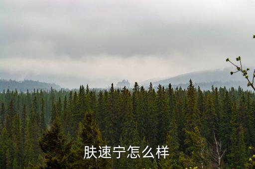融資城怎么樣，膚速寧怎么樣