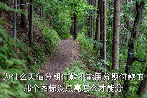 為什么天貓分期付款不能用分期付款的那個圖標沒點亮怎么才能分
