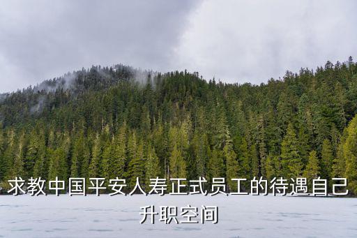 平安人壽待遇怎么樣，做平安保險(xiǎn)工資真的有那么高嗎