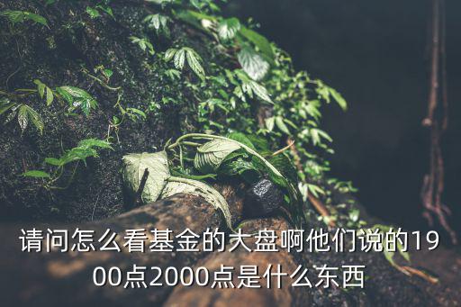 買(mǎi)基金怎么看大盤(pán)，我買(mǎi)了一份定投基金但我不知道是什么種類(lèi)的請(qǐng)問(wèn)怎么才能知道呀