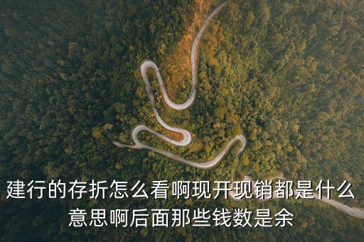 建行定期存折怎么看，建行定期存折怎么查余額