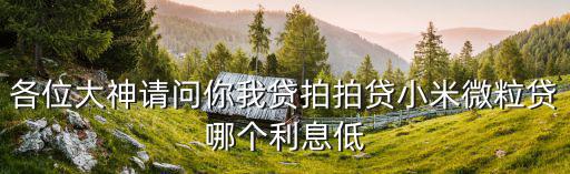 各位大神請(qǐng)問(wèn)你我貸拍拍貸小米微粒貸哪個(gè)利息低