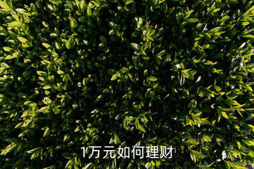 1萬元如何理財(cái)