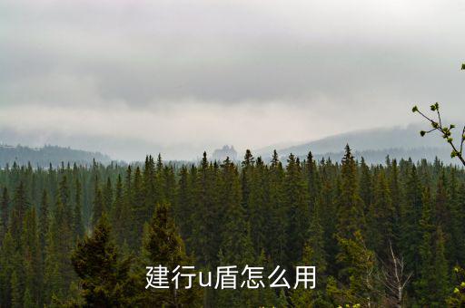 建行u盾怎么用，建行u盾怎么用