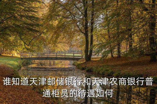 誰知道天津郵儲(chǔ)銀行和天津農(nóng)商銀行普通柜員的待遇如何