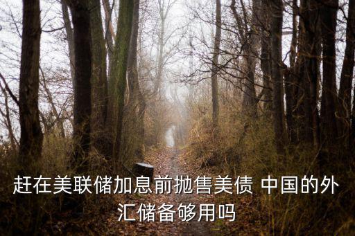 趕在美聯(lián)儲(chǔ)加息前拋售美債 中國(guó)的外匯儲(chǔ)備夠用嗎