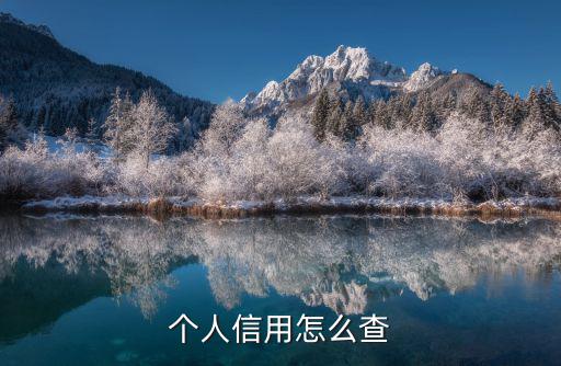 個人信用怎么查