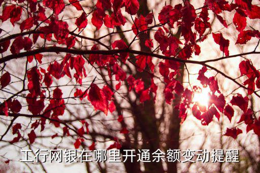工行網(wǎng)銀在哪里開通余額變動提醒