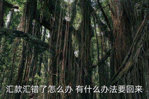 匯款匯錯了怎么辦 有什么辦法要回來