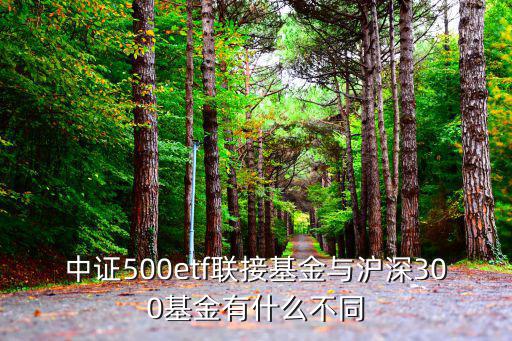 嘉實滬深300etf聯(lián)接怎么樣，滬深300etf怎么買