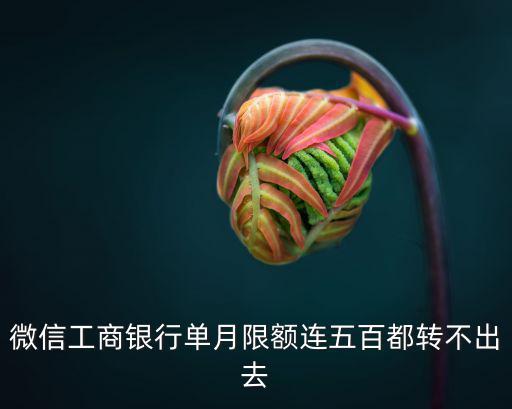 工商卡單月限額怎么辦，工商銀行信用卡月限消費(fèi)500元怎么才可以提高消費(fèi)限額