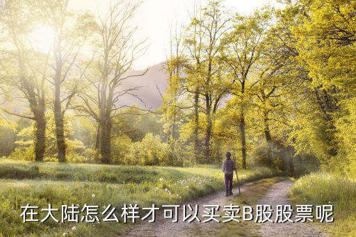 怎么賣b股，中國普通股民怎么買賣B股在A股上市的要求是不是很高
