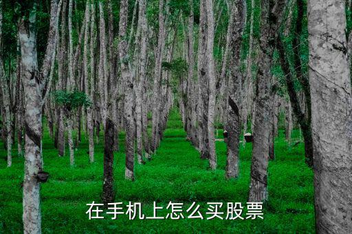 在手機(jī)上怎么買(mǎi)股票