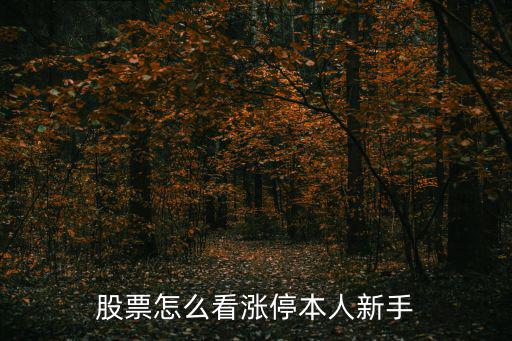 怎么看股票漲停板，怎樣看股市漲停