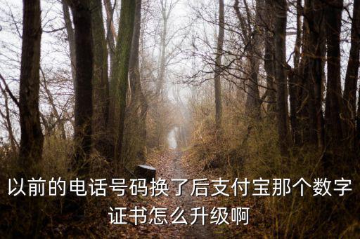 以前的電話號碼換了后支付寶那個(gè)數(shù)字證書怎么升級啊