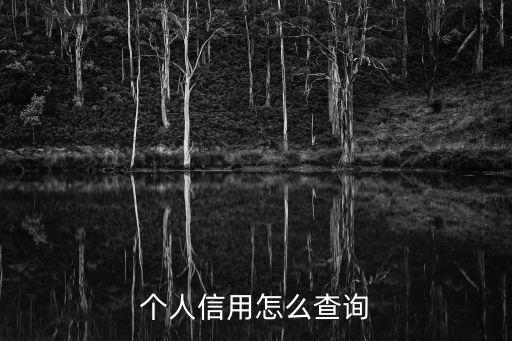 個(gè)人信用怎么查詢系統(tǒng)，個(gè)人征信怎么查