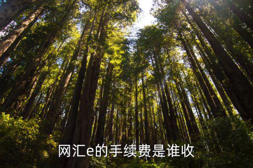 網(wǎng)匯e手續(xù)費怎么算，網(wǎng)匯e的手續(xù)費是多少