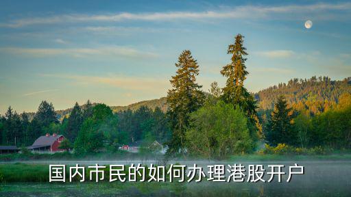 國(guó)內(nèi)市民的如何辦理港股開(kāi)戶