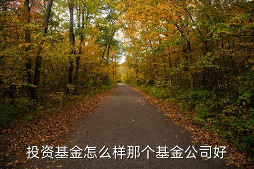 投資基金怎么樣那個基金公司好