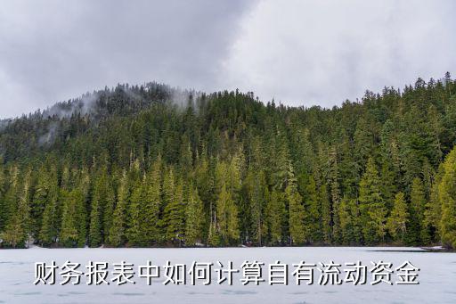 自有流動(dòng)資金怎么算，流動(dòng)資金管理辦法流資測(cè)算中自有資金怎么核算